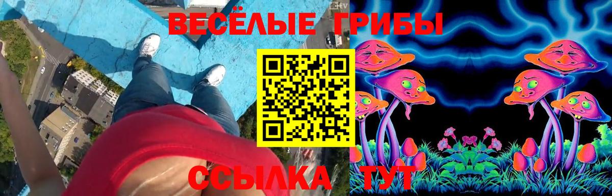 Псилоцибиновые грибы ЛСД Долгопрудный